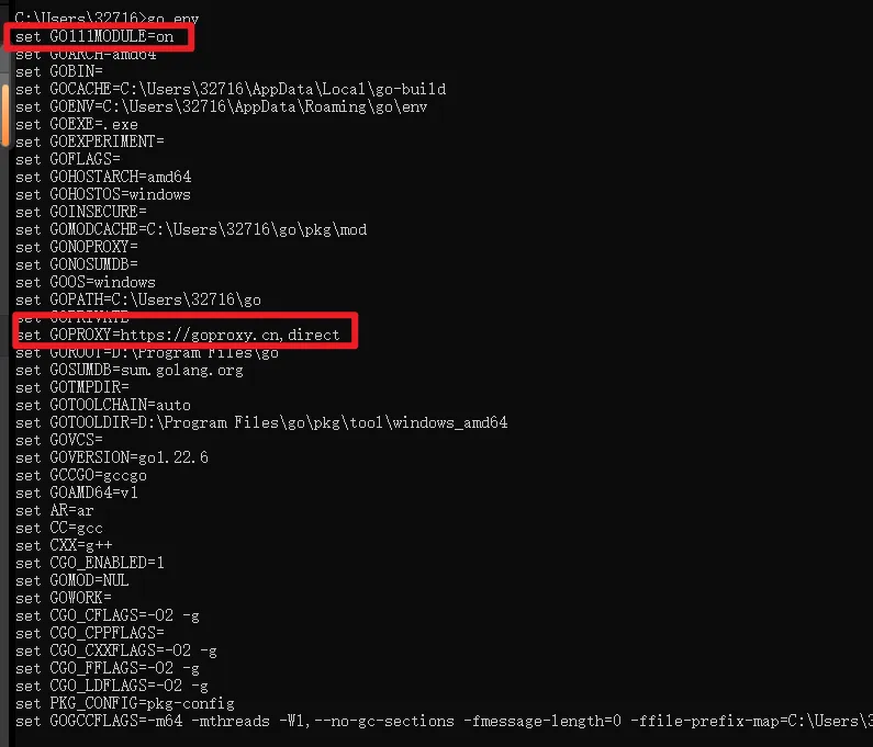 原有 GOPROXY 设置记录